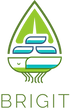 BRIGIT Logo no tagline.png